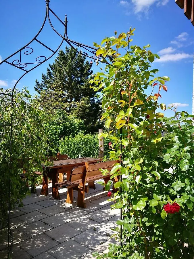 Apartment Mit Gartenblick Forchheim